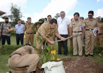Gubernur Arinal Lestarikan Pohon Kepel di PKK Agropark