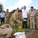 Gubernur Arinal Lestarikan Pohon Kepel di PKK Agropark