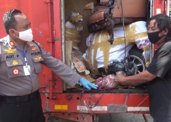 Truk Berlogo PT Pos Indonesia Angkut 900 kg Daging Celeng Ilegal