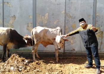 Lapas Kotabumi Potong Empat Hewan Qurban