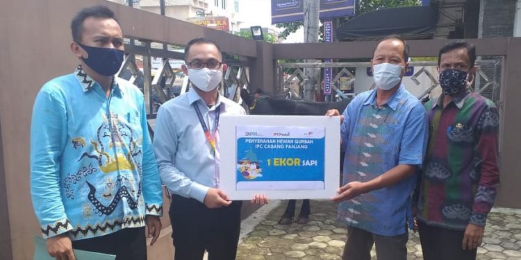 PWI Lampung Terima Hewan Qurban Dari Pemprov