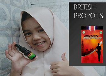 British Propolis Dapat Mengobati Berbagai Penyakit Ini