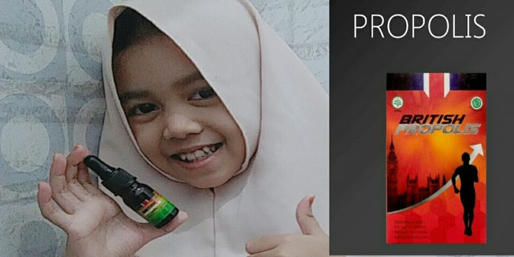 British Propolis Dapat Mengobati Berbagai Penyakit Ini