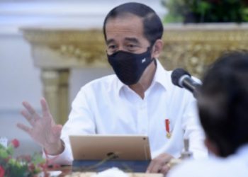 Indonesia Dapatkan Komitmen Pengadaan 290 Juta Vaksin Hingga Akhir 2021