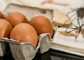 Telur Ayam Ras Sumbang Deflasi di Lampung, Sementara Mie Kering Sumbang Inflasi