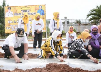 Gubernur Arinal dan Ibu Riana Tanam Melon dan Semangka di PKK Agropark Lampung