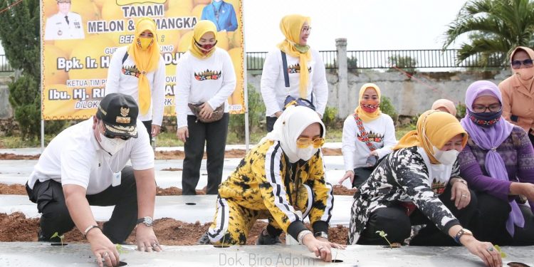 Gubernur Arinal dan Ibu Riana Tanam Melon dan Semangka di PKK Agropark Lampung