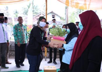 Pemprov Lampung Beri Bantuan Pupuk dan Bibit kepada Komunitas Rumah Tangga