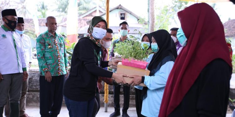 Pemprov Lampung Beri Bantuan Pupuk dan Bibit kepada Komunitas Rumah Tangga