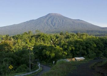 AJI Bandar Lampung-Bestari Beri Beasiswa Peliputan Konservasi Hutan