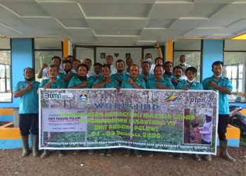 PTPN VII Padang Pelawi Latih 42 Mandor Sadap
