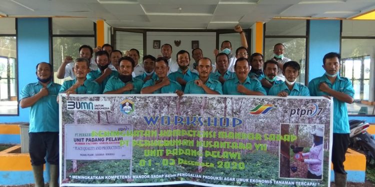 PTPN VII Padang Pelawi Latih 42 Mandor Sadap