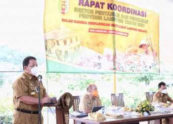 Gubernur Arinal Ungkapkan Keberhasilan Strategi Pemulihan Ekonomi Akibat Dampak Covid-19