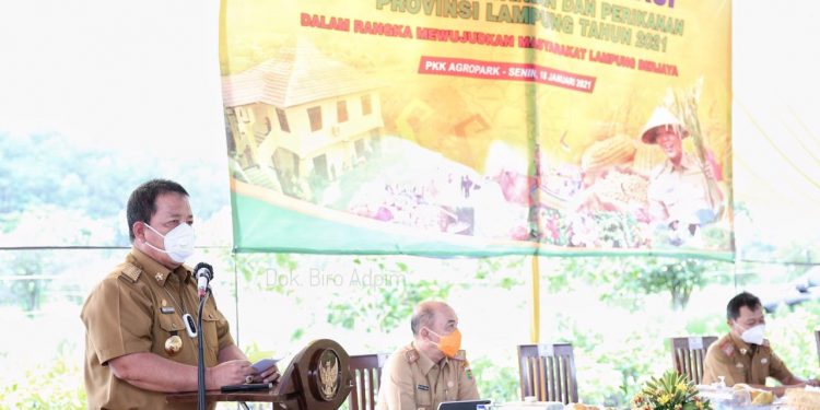 Gubernur Arinal Ungkapkan Keberhasilan Strategi Pemulihan Ekonomi Akibat Dampak Covid-19