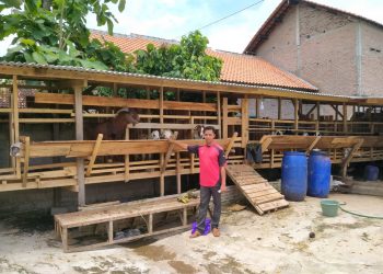 Mitra Binaan PTPN VII: Mimpi Heriyanto “Pasar Kambing Bagelen”