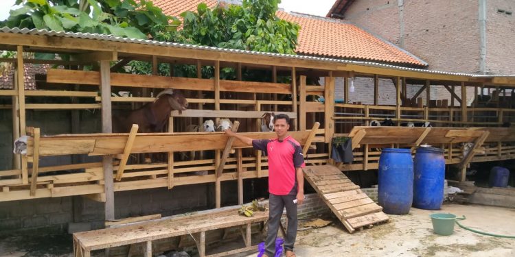 Mitra Binaan PTPN VII: Mimpi Heriyanto “Pasar Kambing Bagelen”