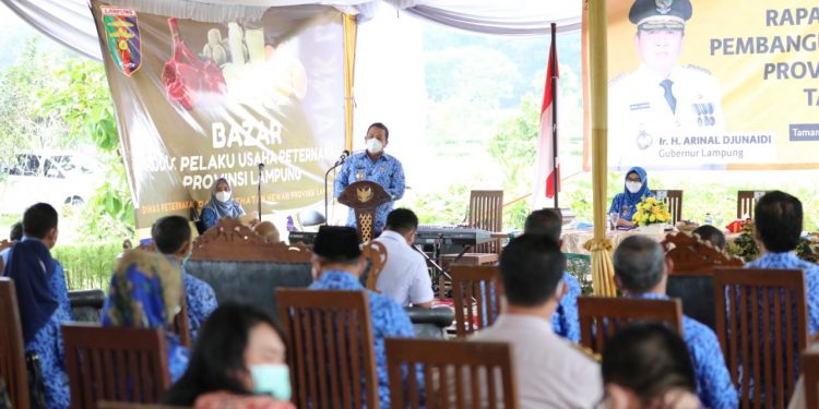 Gubernur Arinal : Wujudkan Lampung sebagai lumbung Ternak Nasional, Semua OPD Harus Bersinergi