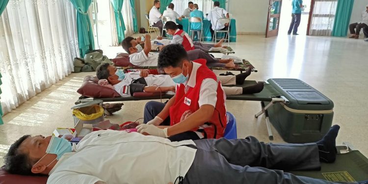 Pandemi, Donor Darah PTPN VII Tetap Rutin