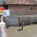 Atasi Banjir, Pemkot Bandar Lampung Akan Bangun Tanggul Muara Sungai dan Tanggul Laut