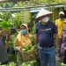 Kagama Kolaborasi Pemkab Lamteng Promosi Kampung Wisata Liman Benawi