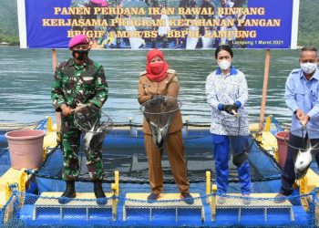 Eva Ikut Panen Raya Ikan Bawal Meriahkan Milad ke-17 Brigif 4 Mar/BS