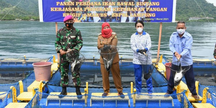 Eva Ikut Panen Raya Ikan Bawal Meriahkan Milad ke-17 Brigif 4 Mar/BS