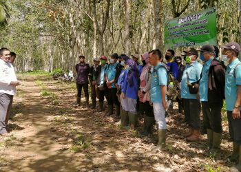 Kejar Produksi dan Mutu, PTPN VII Tulungbuyut Gelar Field Day