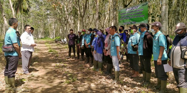 Kejar Produksi dan Mutu, PTPN VII Tulungbuyut Gelar Field Day