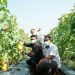 Ngabuburit di Kebun Agrowisata Unila, Petik Melon dan Sayuran Sendiri