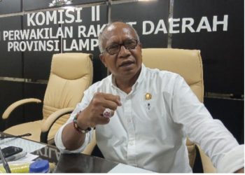 Wakil Ketua  Komisi II Apresiasi Gubernur Lampung Soal Penetapan Harga Singkong