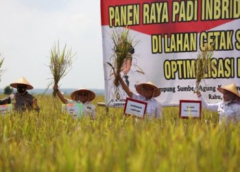 Launching Implementasi Kartu Petani Berjaya, Gubernur Arinal Berharap Petani Dapatkan Kemudahan Penuhi Kebutuhan Bercocok Tanam