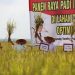 Launching Implementasi Kartu Petani Berjaya, Gubernur Arinal Berharap Petani Dapatkan Kemudahan Penuhi Kebutuhan Bercocok Tanam