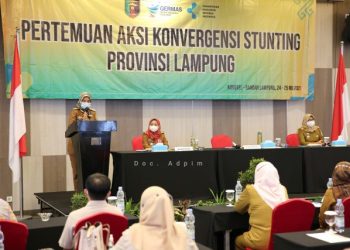 Provinsi Lampung Targetkan Penurunan Angka Stunting Hingga 14 Persen di Tahun 2024