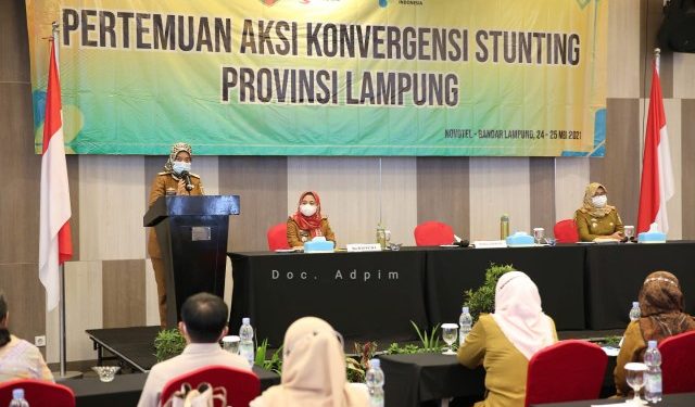 Provinsi Lampung Targetkan Penurunan Angka Stunting Hingga 14 Persen di Tahun 2024