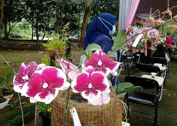 Unila Inisiasi Konservasi Anggrek Species Alam Dukung GreenMetric