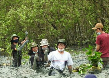 Dosen dan Mahasiswa ITERA Tanam 800 Bibit Mangrove di Pesisir Lampung Timur