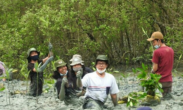 Dosen dan Mahasiswa ITERA Tanam 800 Bibit Mangrove di Pesisir Lampung Timur