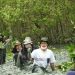 Dosen dan Mahasiswa ITERA Tanam 800 Bibit Mangrove di Pesisir Lampung Timur