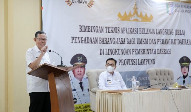 Gubernur Arinal Ajak UMKM Sukseskan Aplikasi Belanja Langsung/Bela Pengadaan agar Lebih Berperan dalam Era “Go Digital”