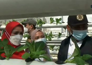 Wali Kota Bandar Lampung Eva Dwiana Meresmikan Green Corner Universitas Islam Negeri Raden Intan Lampung