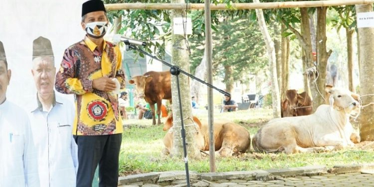 Unila Salurkan 29 Ekor Hewan Kurban Kepada Pegawai Kontrak dan Golongan Rendah