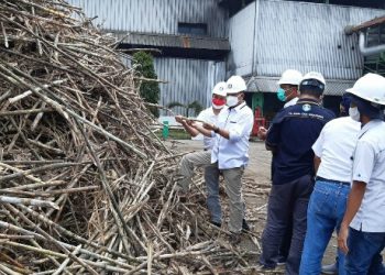 Dua Pabrik Gula PTPN VII Segera Masuk Holding