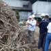 Dua Pabrik Gula PTPN VII Segera Masuk Holding