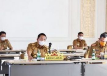 Gubernur Laporkan Kondisi Terkini Covid-19 di Provinsi Lampung Kepada Menko Perekonomian