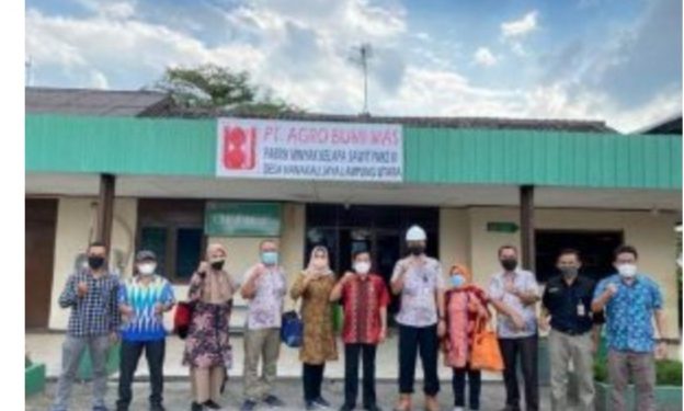 Kadis Perkebunan Provinsi Lampung, Lakukan Pembinaan Usaha Perkebunan