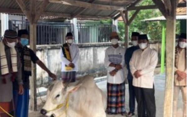 Pemprov Lampung Berkurban 36 Sapi dan 10 Kambing