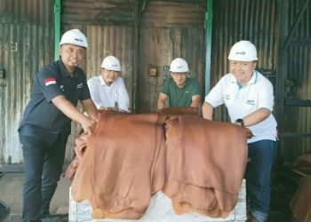 Pabrik Karet PTPN VII Unit Tulungbuyut; Tua-Tua Juara!