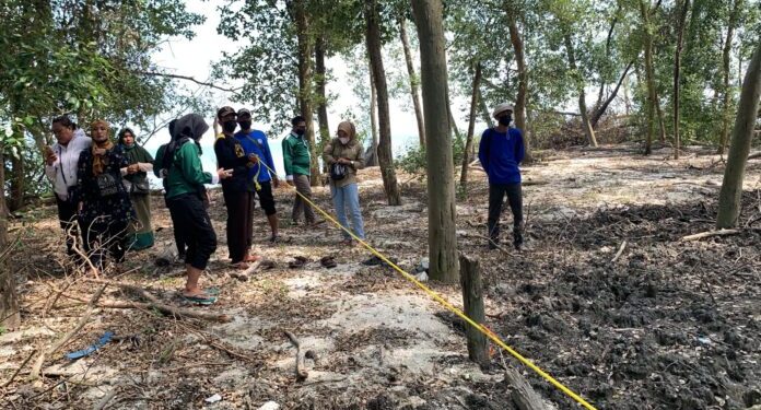 Tim Unila Latih Warga Desa Margasari Memantau Kesehatan Hutan Mangrove