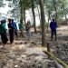 Tim Unila Latih Warga Desa Margasari Memantau Kesehatan Hutan Mangrove