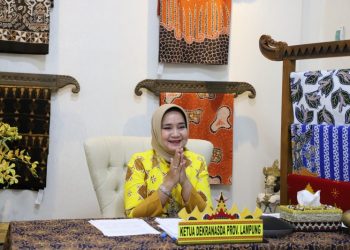 Ketua Dekranasda Lampung  Jadi Narasumber Webinar Pengembangan Batik Luar 